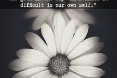 20200801_083738_0000