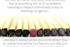 No One Is In Any Way Superior Than Anyone